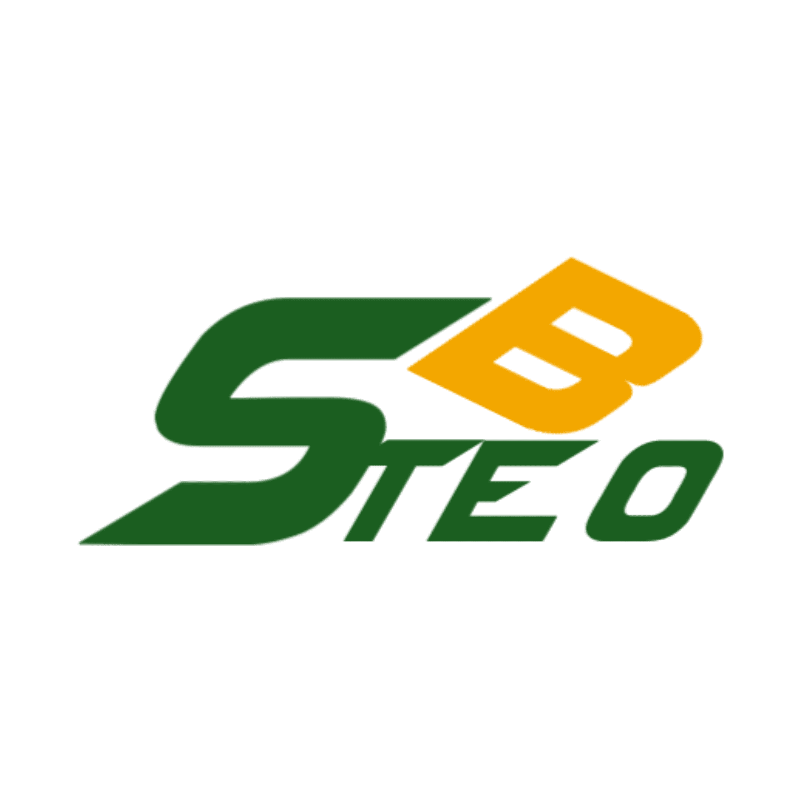 Stebo AI